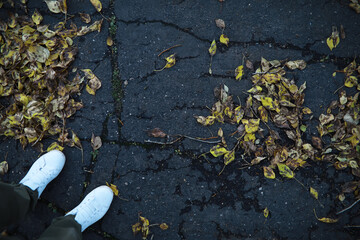 Fall Leaves on Cracked Asphalt with White Sneakers in an Urban Setting