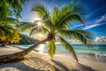 Obraz premium Seychelles Beach Photography: Leaning Palm Tree, White Sand, Tropical Paradise