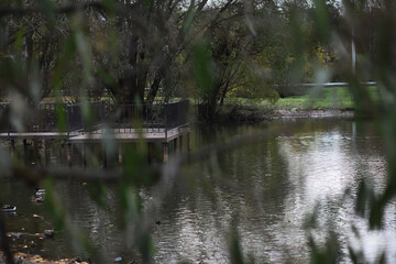 Tranquil Park Lake with Viewing Platform Surrounded by Greenery and Trees