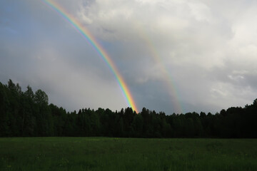 Double Rainbow Over Lush Green Forest on a Cloudy Day