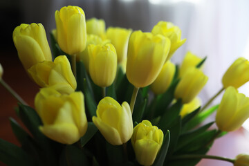Fresh Yellow Tulips Bouquet in Natural Light - Spring Floral Decor