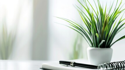 Healthy green plant on white table with small notebook and pen, symbolizing health advice and wellness tips, clean and focused image with copy space for text.