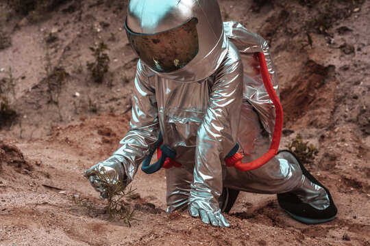 Spaceman exploring nameless planet, examining plants - Powered by Adobe