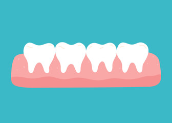Healthy clean teeth in the gums. Vector hand-drawn illustration in flat style. Dental care, oral hygiene concept.