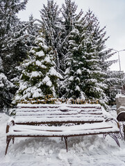 A bench covered in snow next to a group of trees