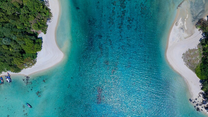 Aerail view of green forest and the sea. natural ecosystems of forests and oceans. concept of natural forest conservation