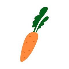 Carrot flat illustration