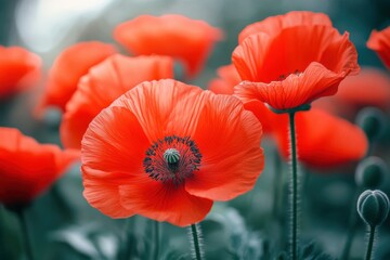 Close-up tulips, 3D photo wallpaper with flowers.. Beautiful simple AI generated image