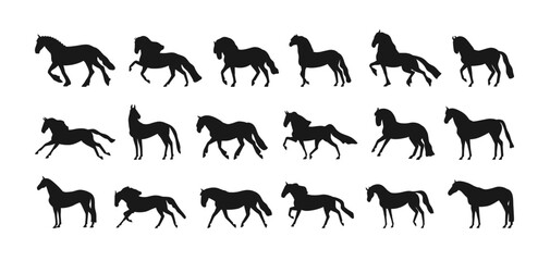 Horse silhouettes set. Stallions galloping, walking, trotting, leaping and running, movement poses. Equine animal figures in motion, profiles. Flat vector illustration isolated on white background