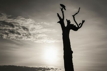 Horses in Winter - Snow - Cold - Tree - Hay - Background - Landscape - Pferd - Eat. Beautiful simple AI generated image