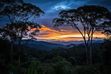 She-bear with cubs in a forest glade. White Nights. Summer. Finland.. Beautiful simple AI generated image