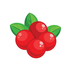 Red Cranberries with Green Leaves - Fresh Fruit Vector Illustration, Natural Food and Healthy Design