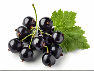 black currant isolated on white background