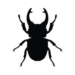Fototapeta premium Beetle silhouette illustration isolated on white background