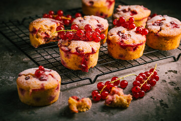Homemade red currant muffins