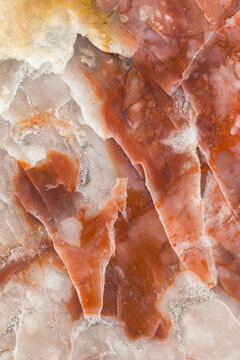 Macro Photograph of Fossilized Dinosaur Coprolite Showing Layers
