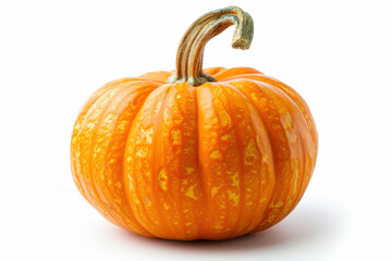 Obraz premium Fresh orange miniature pumpkin isolated on white background