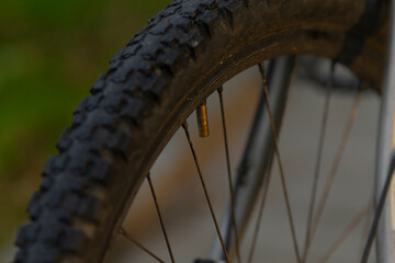 This is an upclose and detailed view of a bicycle wheel that features a tire mounted on it, showcasing its components and design