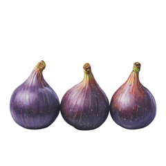 Obraz premium Fig isolated on white background, full depth of field 