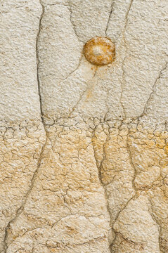 Textured patterns in dry clay at Theodore Roosevelt National Park