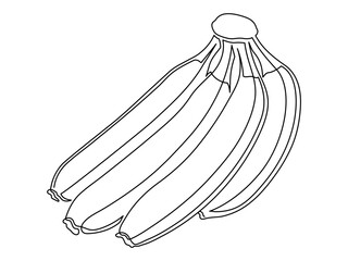 Banana branch line isolated on white background. Simple silhouette of fruit. Hand drawn banana outline. Vector illustration