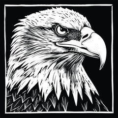 Detailed black and white illustration of an eagle's head.