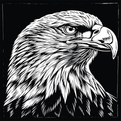 Detailed black and white illustration of an eagle's head.