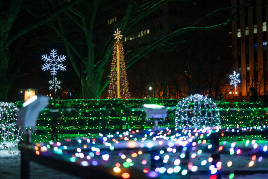 日本の北海道札幌市のホイトイルミネーションの美しい風景