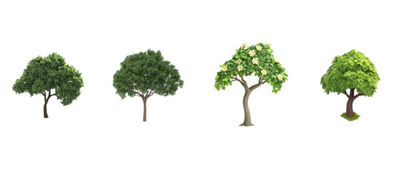 Fototapeta premium set of tree with leaves, isometric view, white background