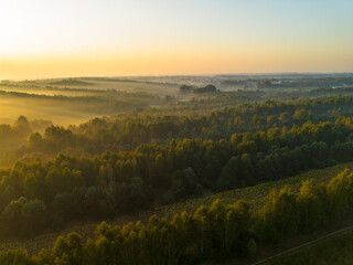 Morning fog over lush green hills and farmland
