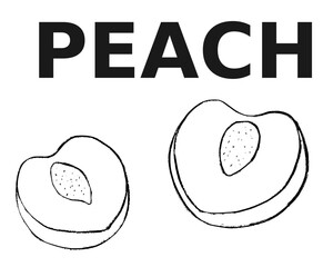 hand drawn illustration of peach, sketch of peas, doodle of peach