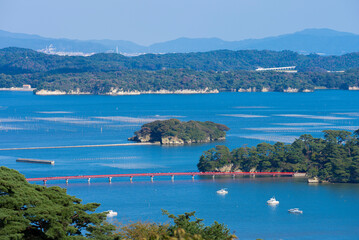Fototapeta premium 日本三景 松島