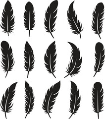 set of silhouettes feathers vector icon illustration with white background