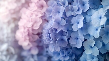 A gradient blending soft periwinkle blue to pale lavender, creating a serene and dreamy atmosphere. 