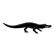 Obraz premium Black silhouette of alligator walking.