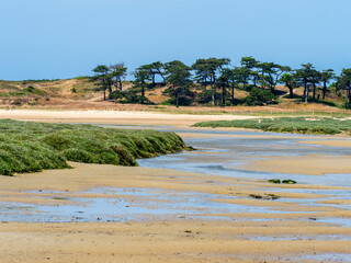 Entre Erquy et Sable d'or les pins à marée basse