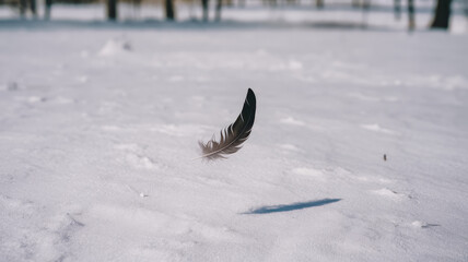 A delicate black feather gently rests on a blanket of pristine snow, casting a soft shadow, reflecting nature's beauty in a serene winter landscape.