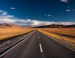 Fototapeta premium Long Road Through the Mongolian Steppe - Journey and Destination