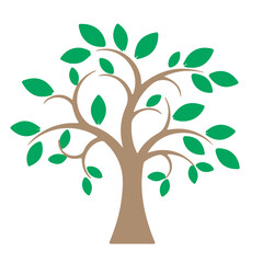 Obraz premium tree with green leaves