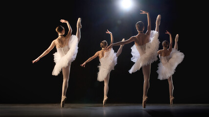 Group of ballerinas viewed from behind, standing in symmetrical formation against dark background,...