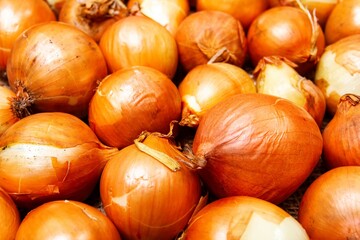a lot of ripe onions on burlap