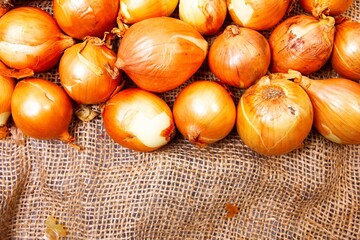 a lot of ripe onions on burlap