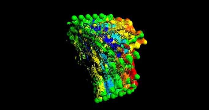 Cryo-EM Structures of amyloid-beta 42 filaments from human brains with Alzheimer&rsquo;s disease, 3D molecule spinning 4K