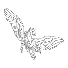 Obraz premium Hand drawn flying pegasus horse with feather wings