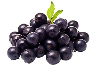 a pile of black berries