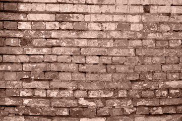 Obraz premium High-quality texture of an old brick wall in Pantone's 2025 color, mocha-mousse, showcasing aged elegance.