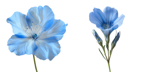 Blue flower . Generative AI.
