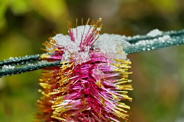 Happy New Year.Christmas tree decorations and toys for fir trees covered with snow and ice. Close-up. Merry Christmas.2024.