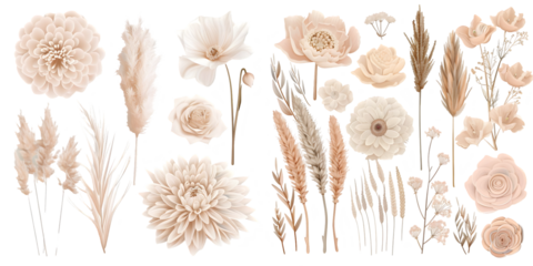 Boho beige and blush trendy vector design flowers. Generative AI.