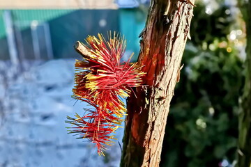 Happy New Year.Christmas tree decorations and toys for fir trees covered with snow and ice. Close-up. Merry Christmas.2024.